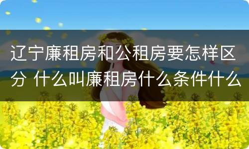 辽宁廉租房和公租房要怎样区分 什么叫廉租房什么条件什么叫公租房