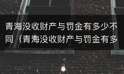 青海没收财产与罚金有多少不同（青海没收财产与罚金有多少不同的）