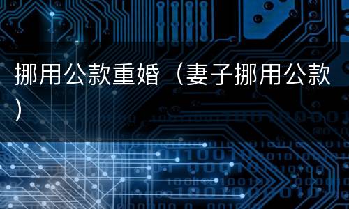 挪用公款重婚（妻子挪用公款）