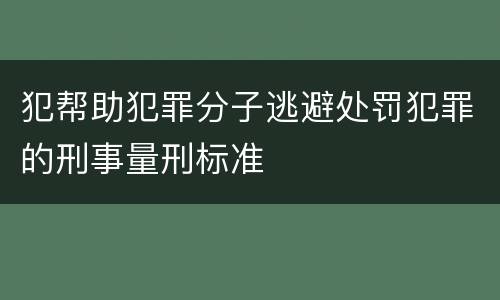 犯帮助犯罪分子逃避处罚犯罪的刑事量刑标准