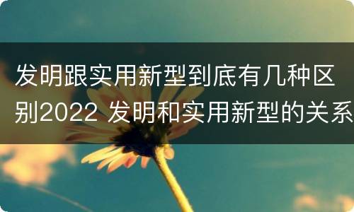 发明跟实用新型到底有几种区别2022 发明和实用新型的关系