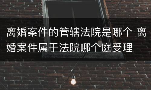 离婚案件的管辖法院是哪个 离婚案件属于法院哪个庭受理