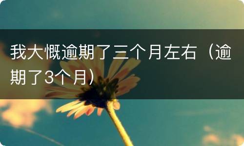 我大慨逾期了三个月左右（逾期了3个月）