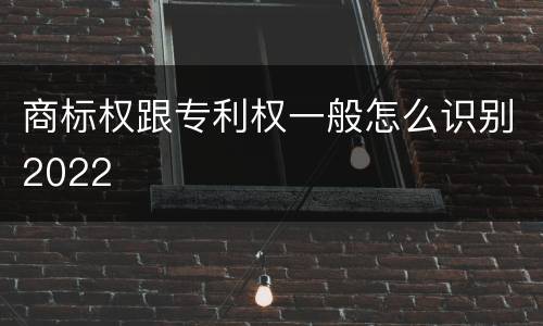 商标权跟专利权一般怎么识别2022