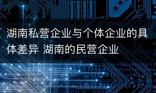 湖南私营企业与个体企业的具体差异 湖南的民营企业