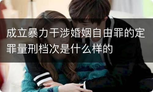 成立暴力干涉婚姻自由罪的定罪量刑档次是什么样的