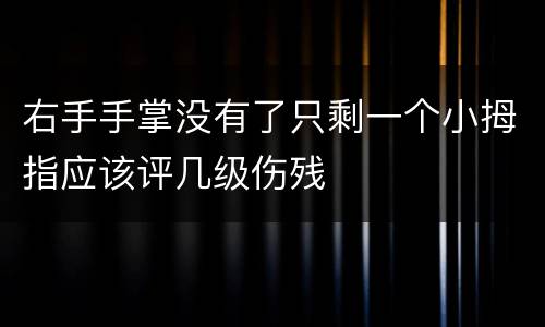 右手手掌没有了只剩一个小拇指应该评几级伤残