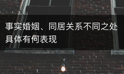 事实婚姻、同居关系不同之处具体有何表现