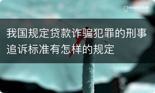 我国规定贷款诈骗犯罪的刑事追诉标准有怎样的规定