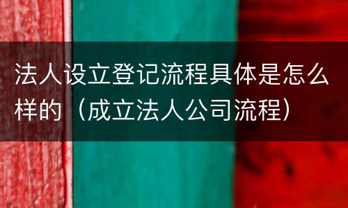 法人设立登记流程具体是怎么样的（成立法人公司流程）