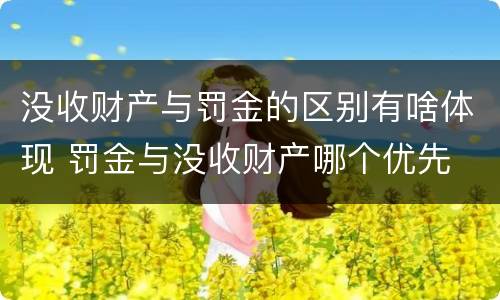 没收财产与罚金的区别有啥体现 罚金与没收财产哪个优先