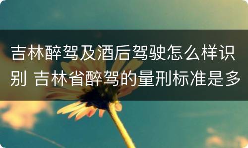 吉林醉驾及酒后驾驶怎么样识别 吉林省醉驾的量刑标准是多少?