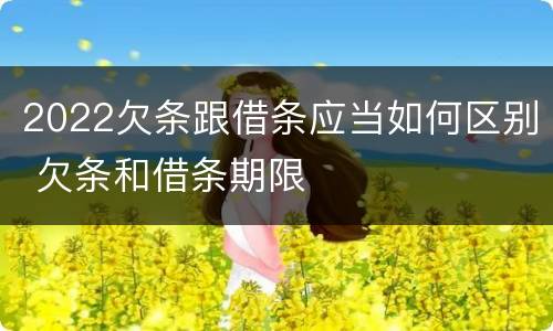 2022欠条跟借条应当如何区别 欠条和借条期限