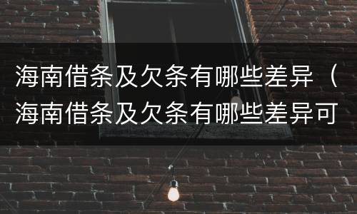 海南借条及欠条有哪些差异（海南借条及欠条有哪些差异可以起诉）
