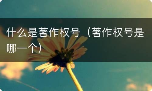 什么是著作权号（著作权号是哪一个）