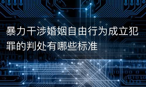 暴力干涉婚姻自由行为成立犯罪的判处有哪些标准