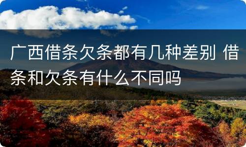 广西借条欠条都有几种差别 借条和欠条有什么不同吗