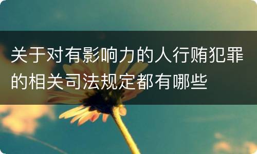 关于对有影响力的人行贿犯罪的相关司法规定都有哪些