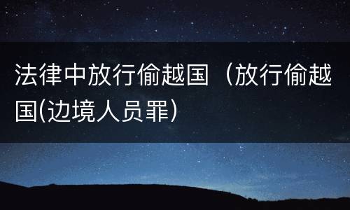 法律中放行偷越国（放行偷越国(边境人员罪）