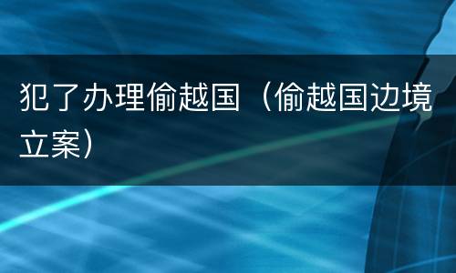 犯了办理偷越国（偷越国边境立案）