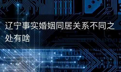 辽宁事实婚姻同居关系不同之处有啥