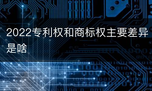 2022专利权和商标权主要差异是啥