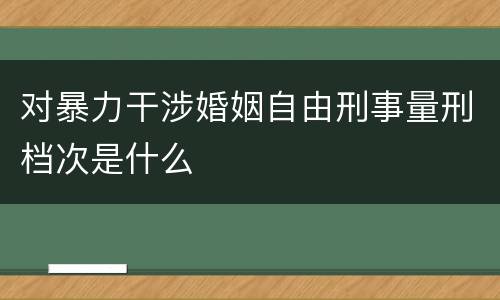 对暴力干涉婚姻自由刑事量刑档次是什么