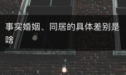 事实婚姻、同居的具体差别是啥
