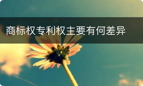 商标权专利权主要有何差异