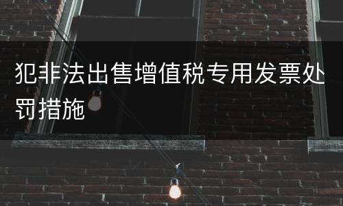 犯非法出售增值税专用发票处罚措施