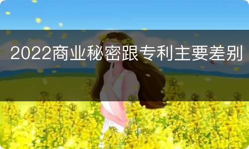 2022商业秘密跟专利主要差别