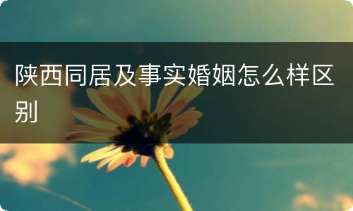 陕西同居及事实婚姻怎么样区别