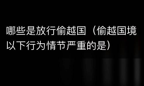 哪些是放行偷越国（偷越国境以下行为情节严重的是）