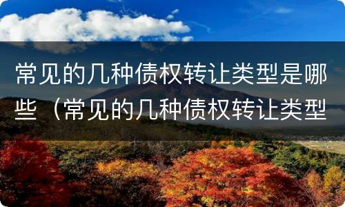 常见的几种债权转让类型是哪些（常见的几种债权转让类型是哪些内容）