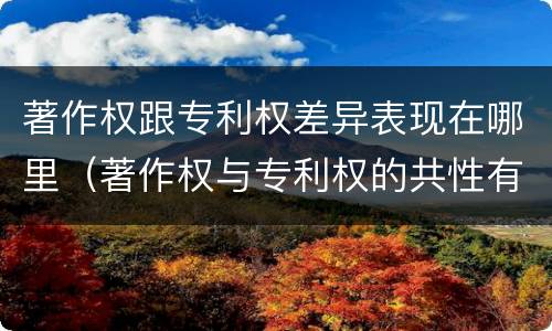 著作权跟专利权差异表现在哪里（著作权与专利权的共性有）