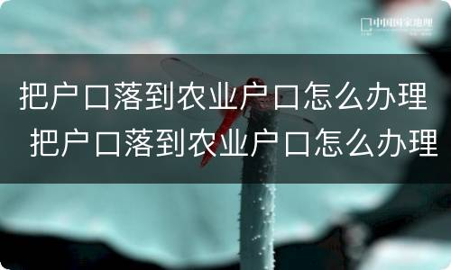 把户口落到农业户口怎么办理 把户口落到农业户口怎么办理离婚