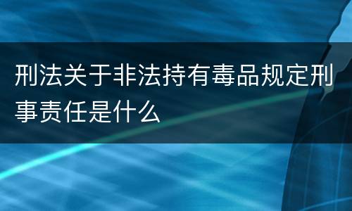 刑法关于非法持有毒品规定刑事责任是什么