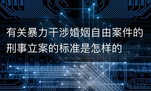有关暴力干涉婚姻自由案件的刑事立案的标准是怎样的