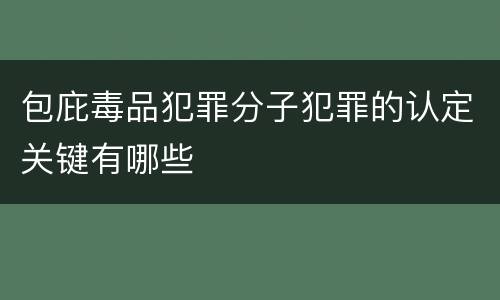 包庇毒品犯罪分子犯罪的认定关键有哪些