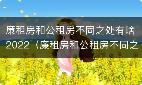 廉租房和公租房不同之处有啥2022（廉租房和公租房不同之处有啥2022年的）