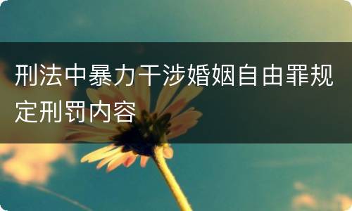 刑法中暴力干涉婚姻自由罪规定刑罚内容