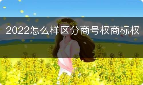 2022怎么样区分商号权商标权