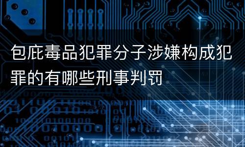 包庇毒品犯罪分子涉嫌构成犯罪的有哪些刑事判罚