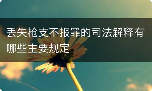 丢失枪支不报罪的司法解释有哪些主要规定