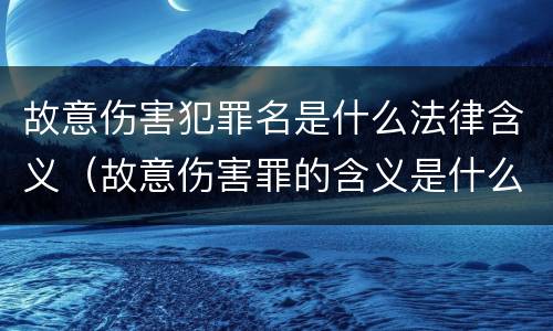 故意伤害犯罪名是什么法律含义（故意伤害罪的含义是什么）