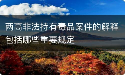 两高非法持有毒品案件的解释包括哪些重要规定