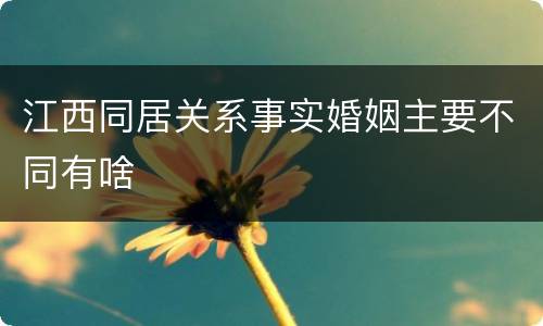 江西同居关系事实婚姻主要不同有啥