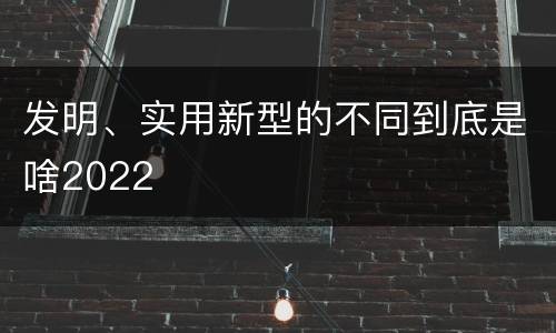 发明、实用新型的不同到底是啥2022
