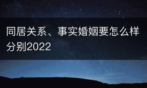 同居关系、事实婚姻要怎么样分别2022