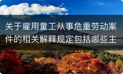 关于雇用童工从事危重劳动案件的相关解释规定包括哪些主要内容